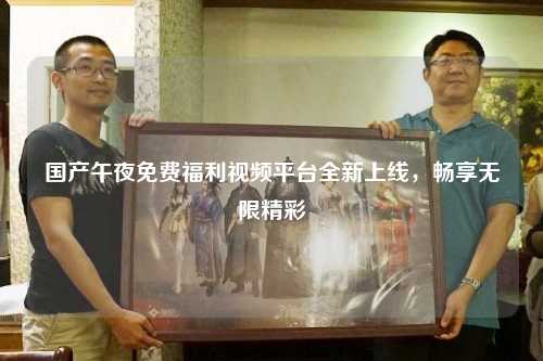 国产午夜免费福利视频平台全新上线，畅享无限精彩