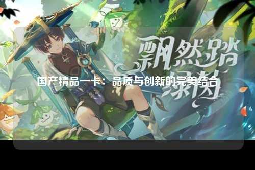 国产精品一卡：品质与创新的完美结合