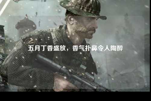 五月丁香盛放，香气扑鼻令人陶醉