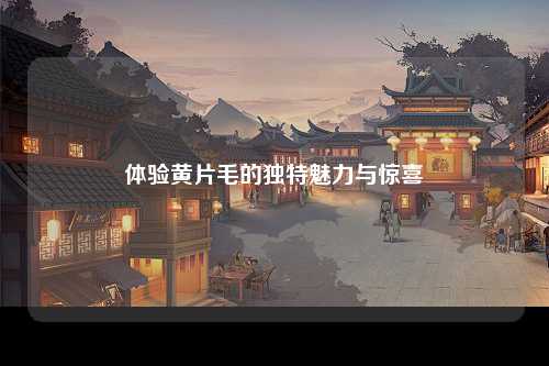 体验黄片毛的独特魅力与惊喜