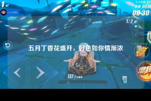 五月丁香花盛开，好色如你情渐浓
