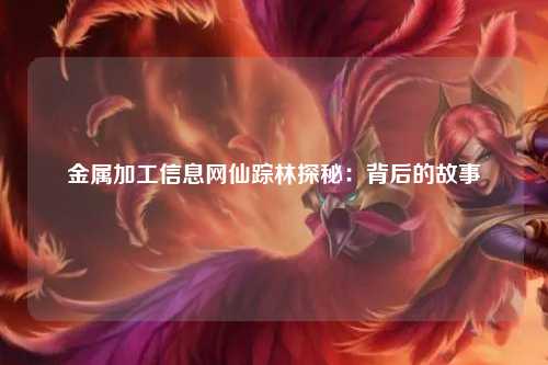 金属加工信息网仙踪林探秘：背后的故事