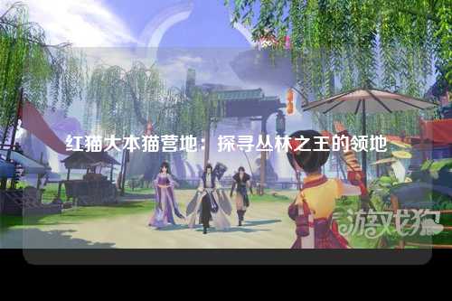 红猫大本猫营地：探寻丛林之王的领地