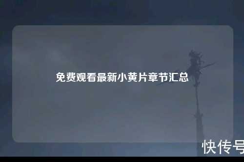 免费观看最新小黄片章节汇总